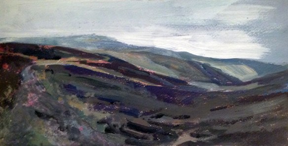 Black Combe Top 2013 acrylic on paper