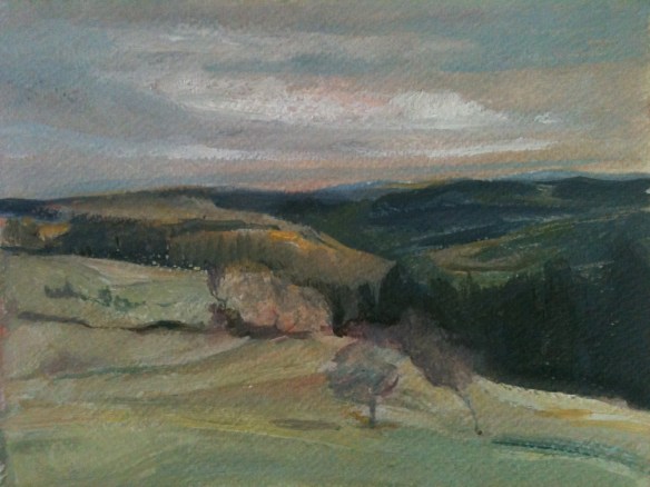Above Betws y Coed (oil on paper 2013) 10