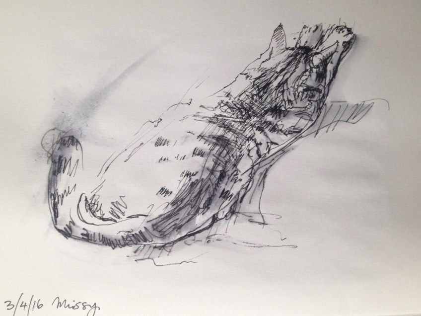 Missy (A5 water-soluble pen on paper) 2016